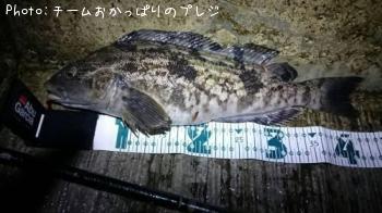 �����ʥ�