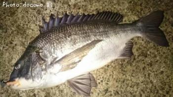 ����ʥ��̡�