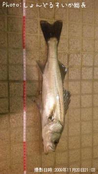 �����Х�