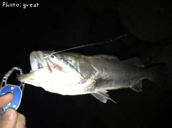 �����Х�