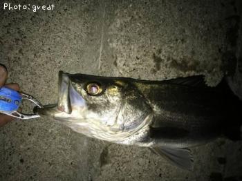 �����Х�