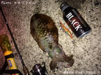 �����ꥤ��