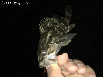 �����Υ���Х�