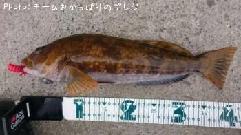 �����ʥ�