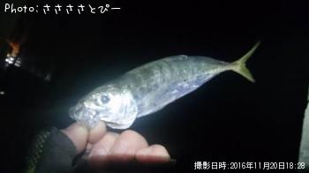 ��������Х�