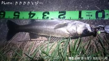 �����Х�