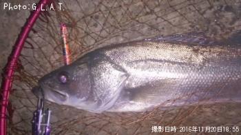 �����Х�