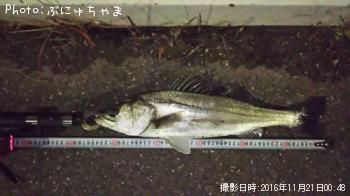 �����Х�