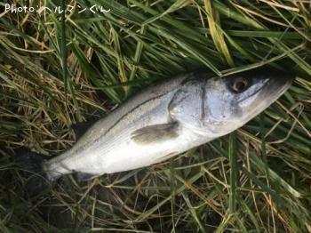 �����Х�