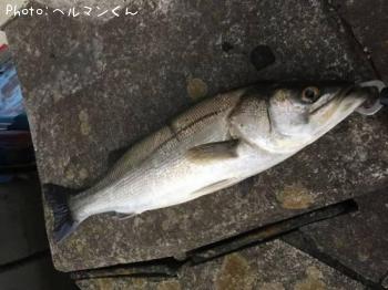 �����Х�