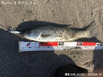 �����Х�