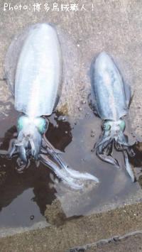 �����ꥤ��