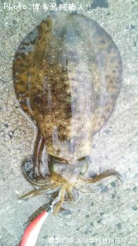 �����ꥤ��