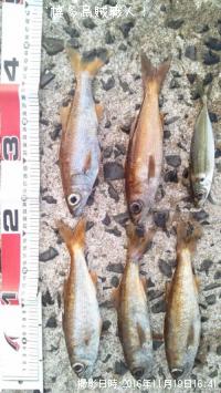 ��ġ�����