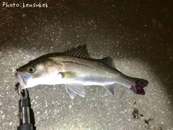 �����Х�