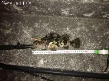 �����Υ���Х�