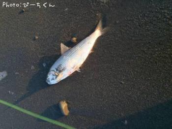 ���Υ���