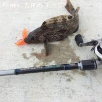 �����ʥ�