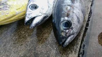 �����塼�ڥ��ĥ���