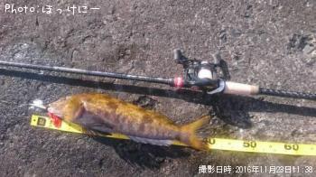 �����ʥ�