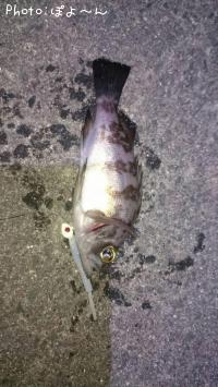 ��Х�ʥߥˡ�