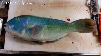 �ޥ��֡����ޥ�