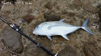 �ޥ��֡����ޥ�