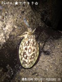 �����ꥤ�����å���