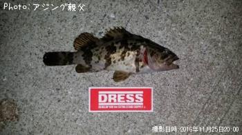 �����Υ���������