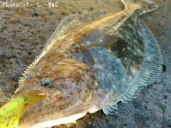 �ҥ��ʥ�����