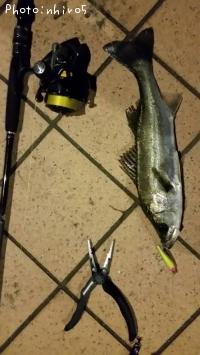 �����Х�