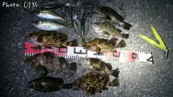 ����������������Х롢����