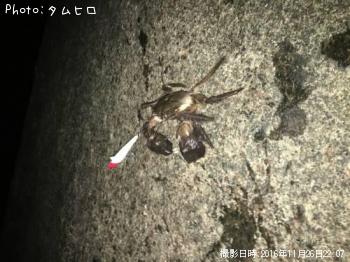 �⥯������