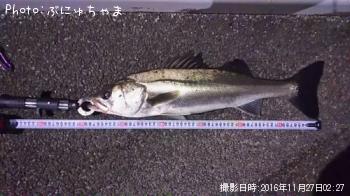 �����Х�