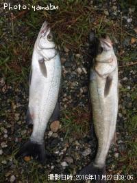 �ҥ饹����