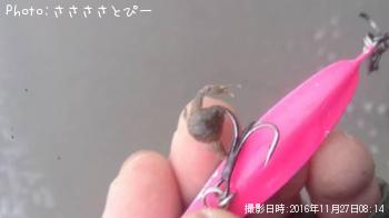 �ե�åȡ������ա�������������