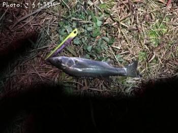 �����Х�