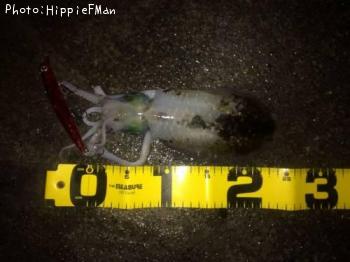 �����ꥤ��