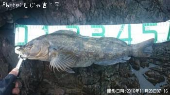 �����ʥ�