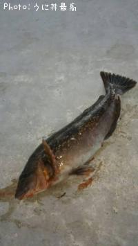 �����ʥ�