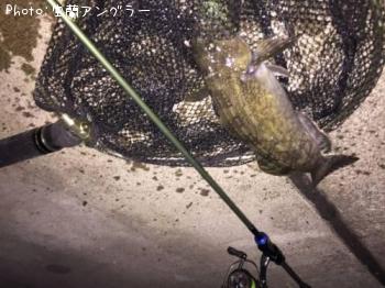 �����ʥ�