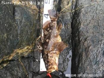 �٥å�������