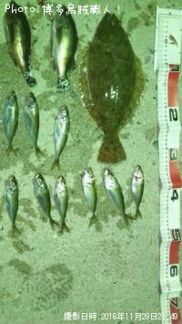 �ҥ�ᡢ��Х롢����