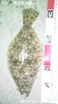 �ҥ�ᡢ��Х롢����