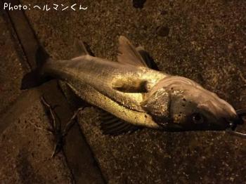 �����Х�