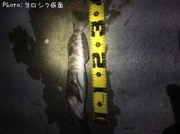 �����ʥ�