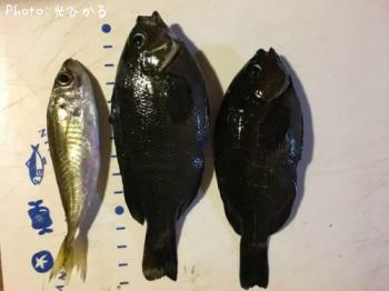 ���졢����