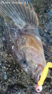 �����ʥ�