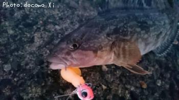 �����ʥ�