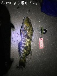 �����ʥ�